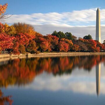 Washington Monument reflected in fall foliage.