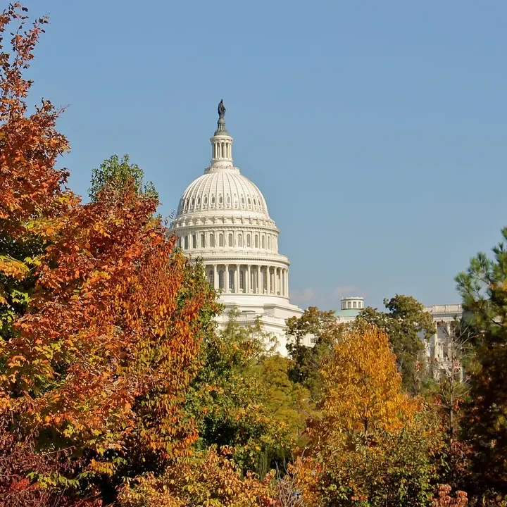 US Capitol building with fall foliage.